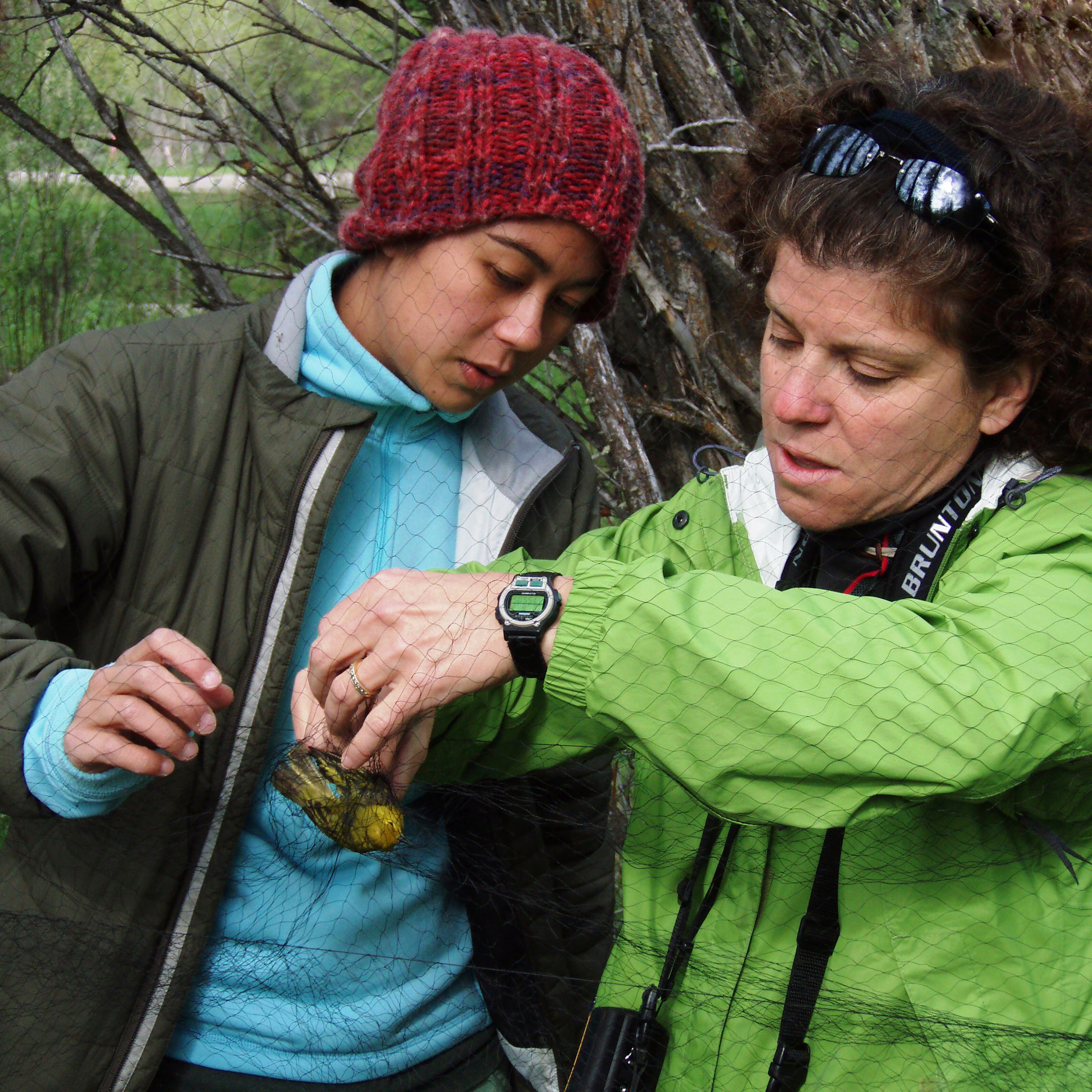 Find out how an Earthwatch expedition can help teachers, teens, and school groups connect with nature through hands-on science and cooperative conservation, or learn how to apply for one of our student or teacher fellowships. 