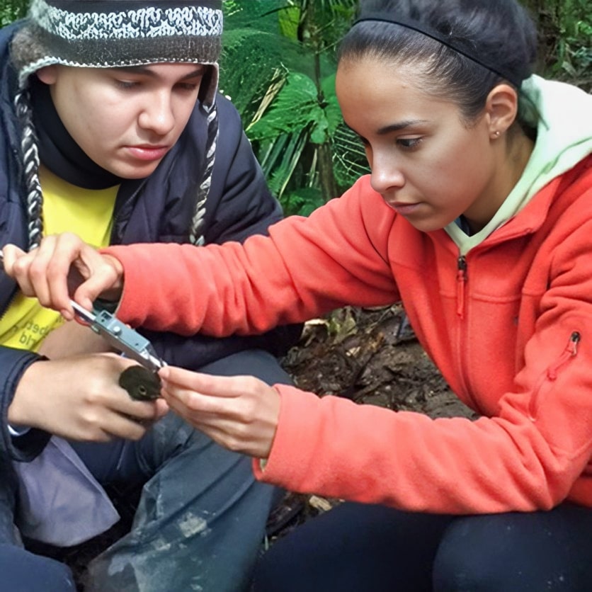 Since 2009, Earthwatch has collaborated with EY to engage high-performing early-career professionals with the opportunity to participate in one-week expeditions to help solve environmental challenges and assist local businesses in meeting their sustainability goals.