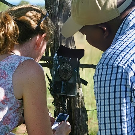Two people setting up a camera trap.
