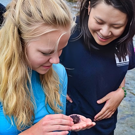 Two Girls in Science fellows examining a sea urchin on Catalina Island.