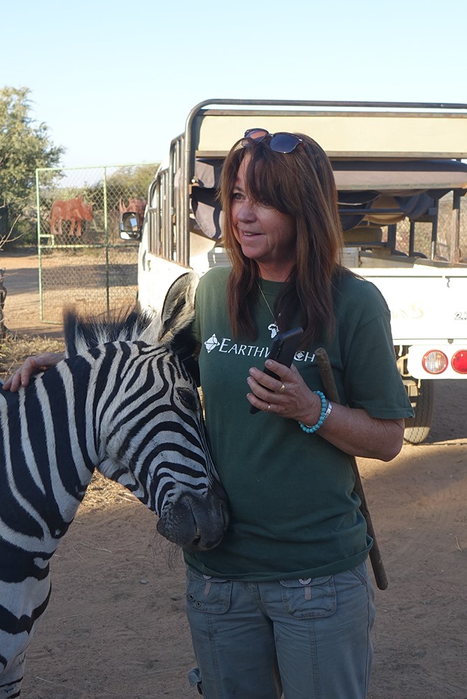 Lynne with Mbezi, a zebra Lynne rescued when she was rejected from her herd and attacked.