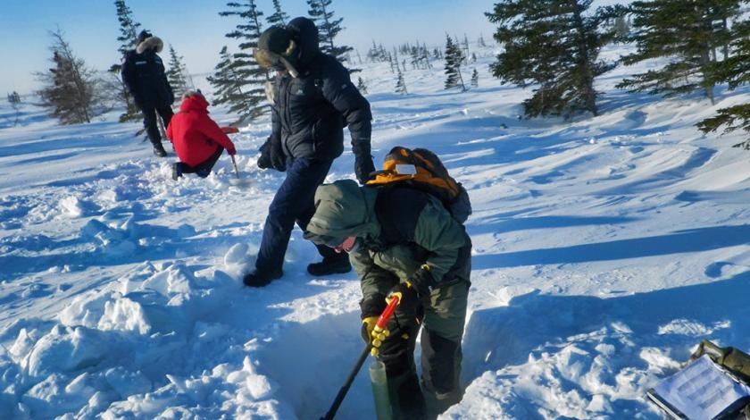 Earthwatch volunteers digging in the snow to conduct snowpack research.