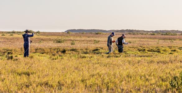 Earthwatch volunteers conducting fieldwork