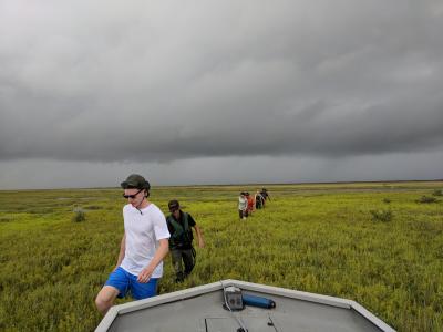 Earthwatch volunteers working in the marsh