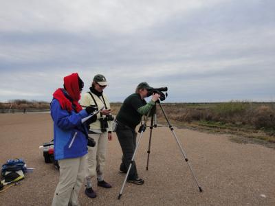 Earthwatch volunteers observing whooping crane behavior (credit Elise Begin)