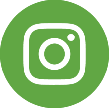 instagram camera icon in a green box 