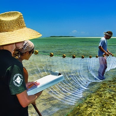 Three people conducting research in the ocean
