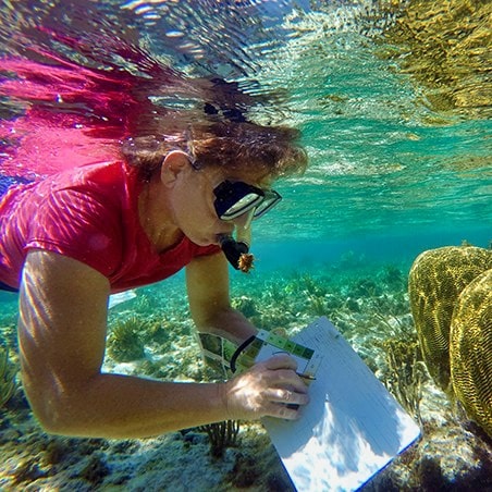 A young woman snorkeling to collect data on coral in the Cayman Islands.