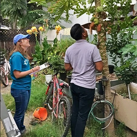 Two people monitoring flowering plants and collecting the data.