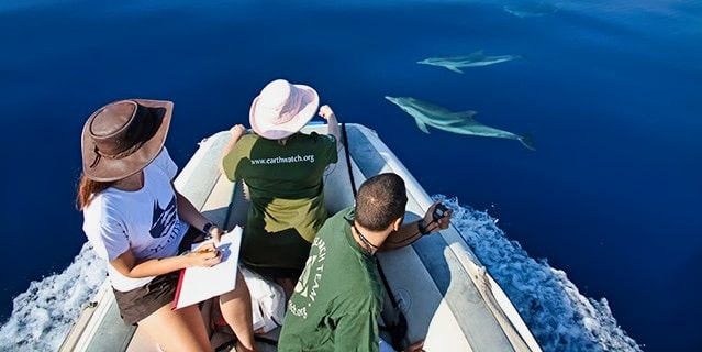 Three people on a boat tracking two dolphins and recording data.