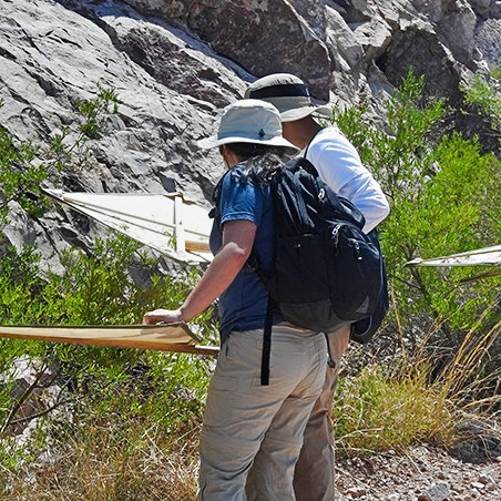 Two people looking for caterpillars on a transect they are holding.