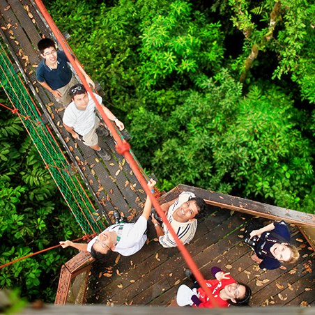 A group of people on a tree top walk.