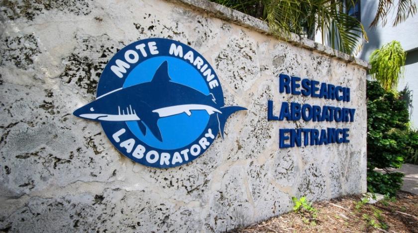 A wall indicating the Mote Marine Laboratory entrance. The Mote Marine Laboratory and Aquarium is part of the longest-running shark abundance survey in the nation.