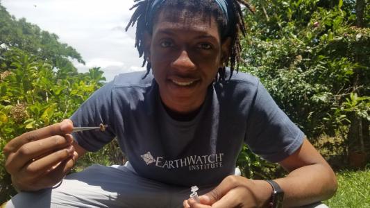 earthwatch volunteer in costa rica