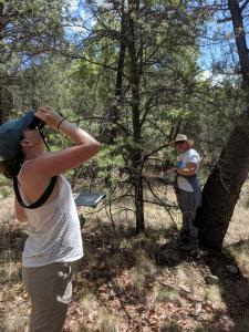 Earthwatch volunteers scan the trees for owls in Arizona (C) Zach Zimmerman