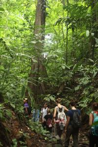 Earthwatch volunteers hike through a lush tropical forest (C) Michael Mao