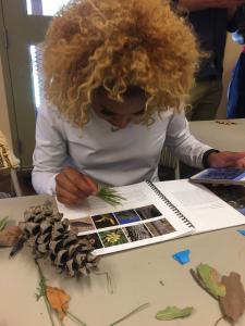 An Earthwatch volunteer identifies vegetation in Arizona (C) New Visions Charter High School for Advanced Math & Science II