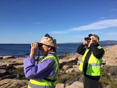 volunteers survey the coast