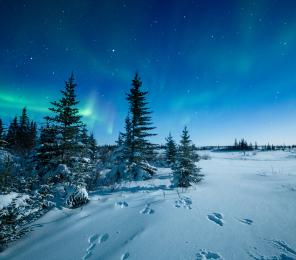 northern lights in the arctic