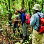 Several people in the rainforest tracking the abundance of wildlife and recording their behavior.